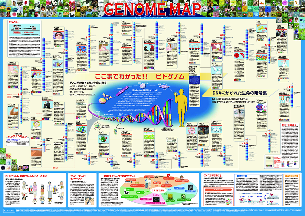 genomemap2021.jpg